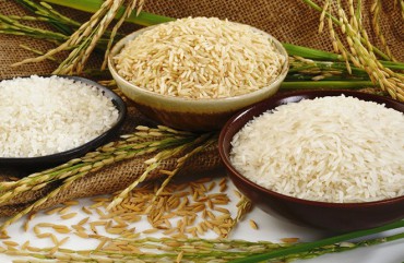 Rice
