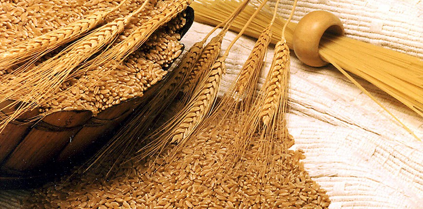 Wheat